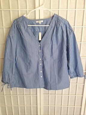 Madewell Blue and White Vertical Stripe Button Front Blouse